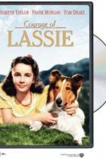 Watch Courage of Lassie Wootly