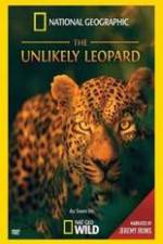 Watch Unlikely Leopard Wootly