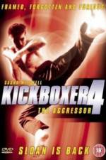 Watch Kickboxer 4: The Aggressor Wootly