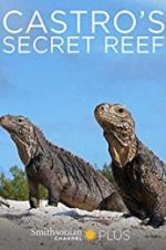 Watch Castro\'s secret reef Wootly