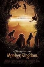 Watch Monkey Kingdom Wootly