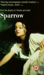 Watch Sparrow Wootly