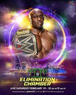 Watch WWE Elimination Chamber (TV Special 2022) Wootly