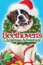 Watch Beethoven's Christmas Adventure Wootly