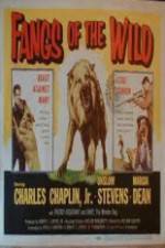 Watch Fangs of the Wild Wootly