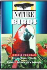 Watch PBS Nature - Extraordinary Birds Wootly