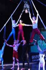Watch Circus School Wootly