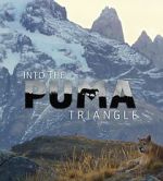 Watch Into the Puma Triangle Wootly