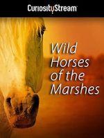 Watch Wild Horses of the Marshes Wootly