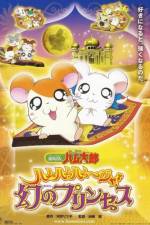 Watch Hamtaro: The Captive Princess Wootly