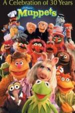 Watch The Muppets - A celebration of 30 Years Wootly