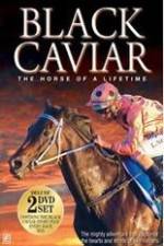 Watch Black Caviar The Races Wootly