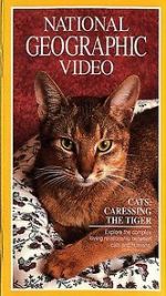 Watch Cats: Caressing the Tiger Wootly