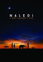 Watch Naledi: A Baby Elephant\'s Tale Wootly