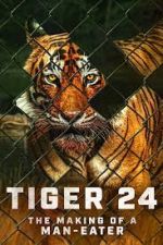 Watch Tiger 24 Wootly