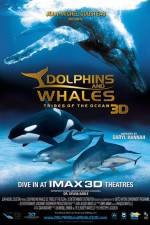 Watch Dolphins and Whales 3D Tribes of the Ocean Wootly