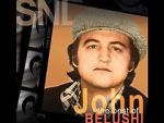 Watch Saturday Night Live: The Best of John Belushi Wootly