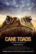 Watch Cane Toads The Conquest Wootly
