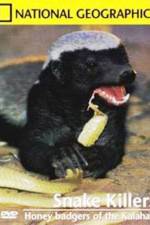 Watch National Geographic: Snake Killers Honey Badgers Of The Kalahari Wootly