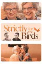 Watch Strictly for the Birds Wootly