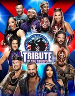 Watch WWE Tribute to the Troops Wootly