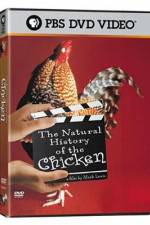 Watch The Natural History of the Chicken Wootly