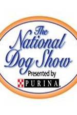 Watch National Dog Show Wootly