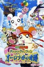 Watch Hamtaro Movie 3: Ham Ham Grand Prix Wootly