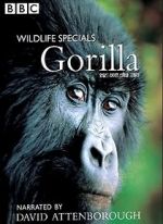 Watch Gorilla Revisited with David Attenborough Wootly