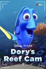 Watch Dory\'s Reef Cam Wootly