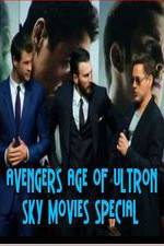 Watch Avengers Age of Ultron Sky Movies Special Wootly