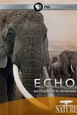 Watch Echo: An Elephant to Remember Wootly