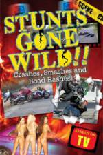 Watch Stunts Gone Wild: Crashes, Smashes & Road Rashes! Wootly