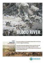 Watch Blood River Crossing Wootly