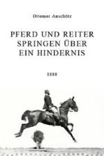 Watch Pferd und Reiter Springen ber ein Hindernis Wootly