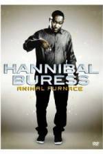 Watch Hannibal Buress Animal Furnace Wootly