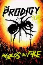 Watch The Prodigy World's on Fire Wootly