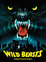 Watch The Wild Beasts Wootly
