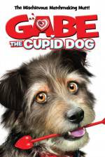 Watch Gabe the Cupid Dog Wootly