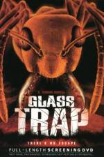 Watch Glass Trap Wootly