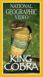 Watch King Cobra Wootly