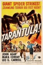 Watch Tarantula Wootly