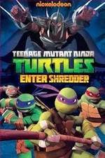 Watch Teenage Mutant Ninja Turtles: Enter Shredder Wootly