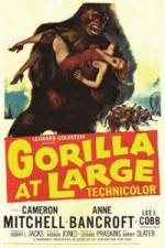 Watch Gorilla at Large Wootly