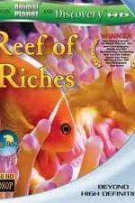 Watch Equator Reefs of Riches Wootly