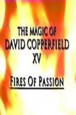 Watch The Magic of David Copperfield XV Fires of Passion Wootly