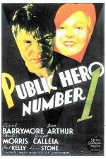 Watch Public Hero Number 1 Wootly