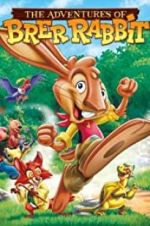 Watch The Adventures of Brer Rabbit Wootly