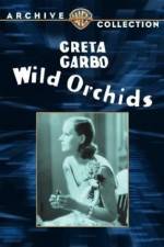 Watch Wild Orchids Wootly