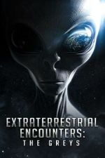 Watch Extraterrestrial Encounters: The Greys Wootly